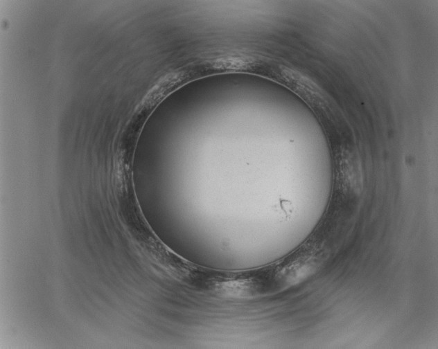 X0000064720312200602171623