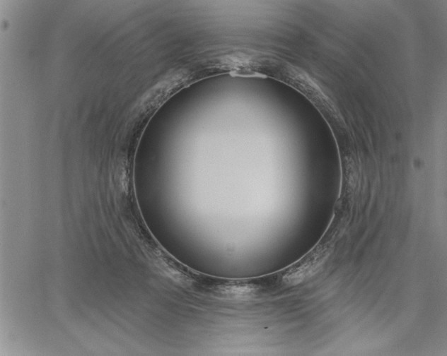 X0000064720313200602171623