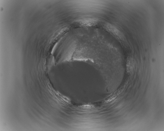 X0000064720314200602171623