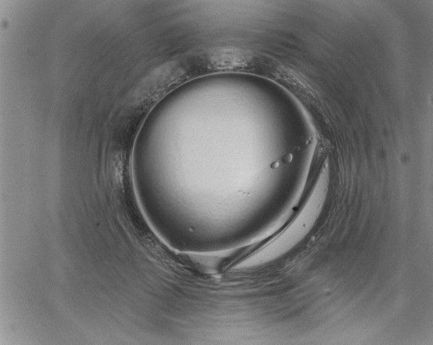 X0000064720315200602171623