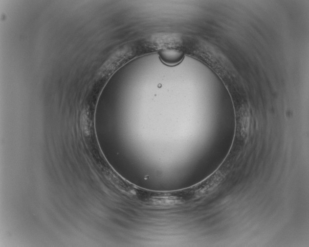 X0000064720316200602171623