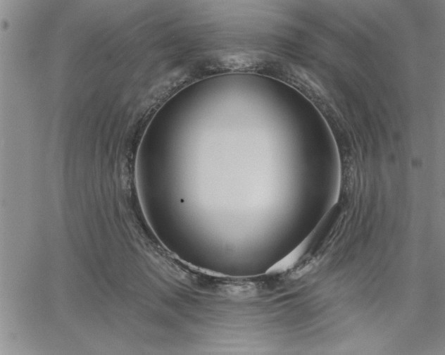 X0000064720317200602171623