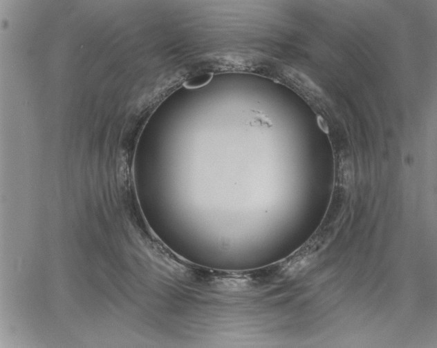 X0000064720318200602171623