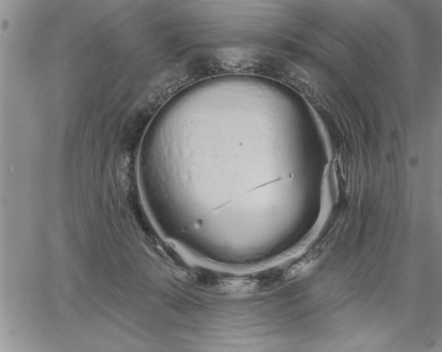 X0000064720319200602171623