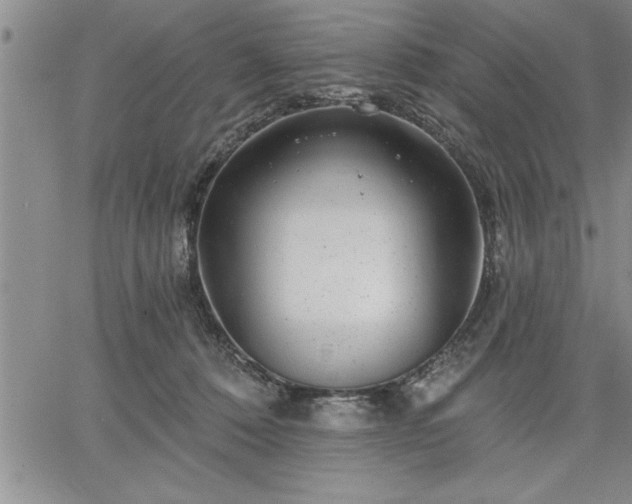 X0000064720320200602171623