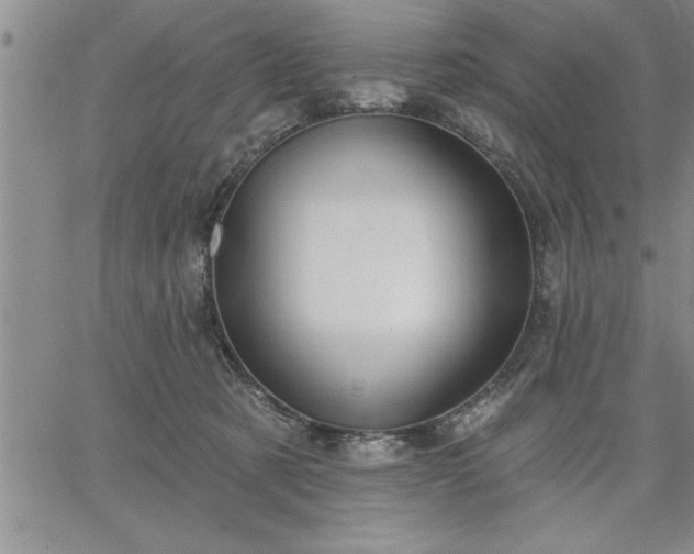 X0000064720321200602171623