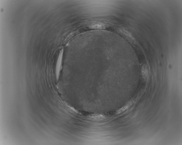 X0000064720322200602171623