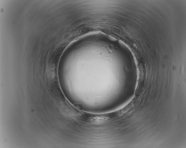 X0000064720323200602171623