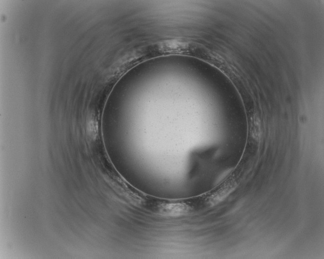 X0000064720324200602171622