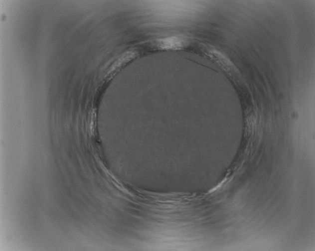 X0000064720325200602171622