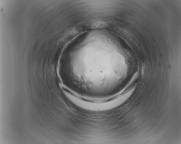 X0000064720327200602171622