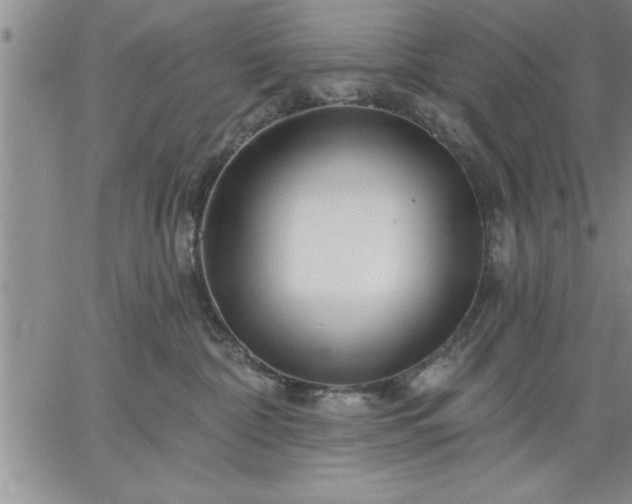 X0000064720332200602171622