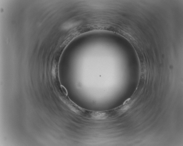 X0000064720334200602171622