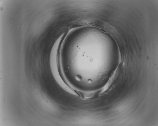 X0000064720335200602171622