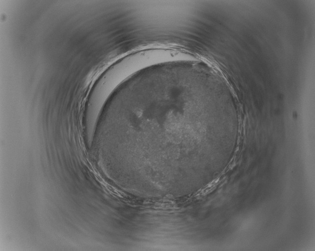 X0000064720337200602171622