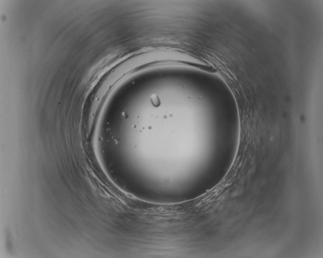 X0000064720338200602171622