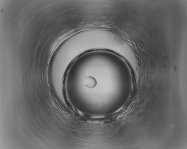 X0000064720340200602171622