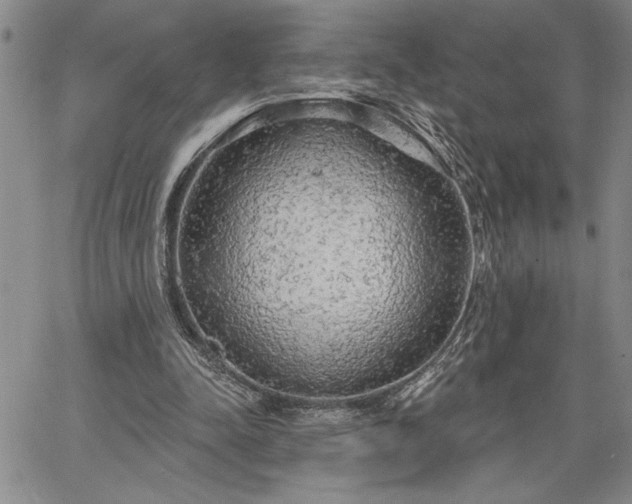 X0000064720342200602171622