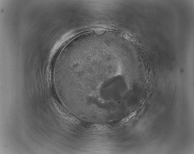 X0000064720343200602171622