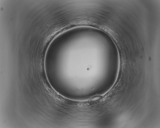 X0000064720345200602171622