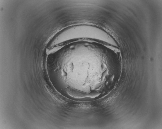 X0000064720347200602171622