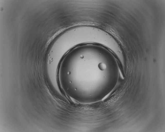 X0000064720348200602171622