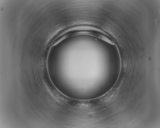 X0000064720352200602171622