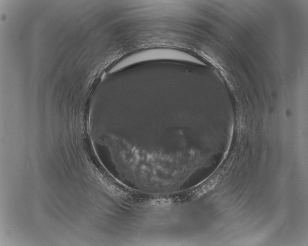 X0000064720353200602171622