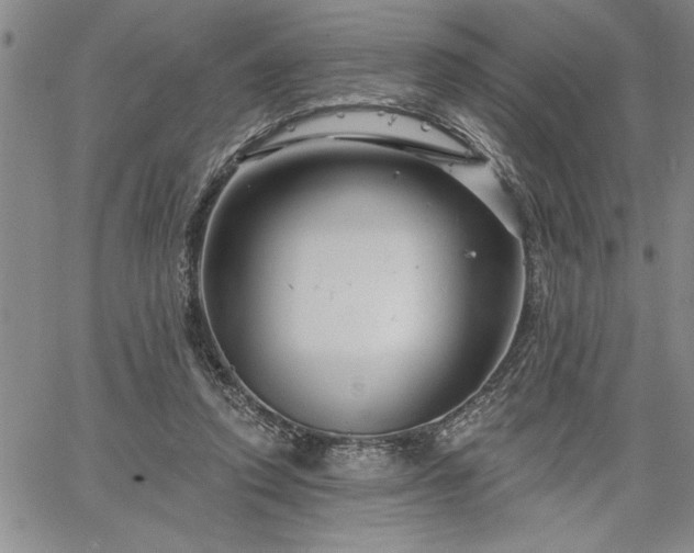 X0000064720354200602171622