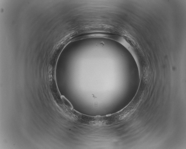 X0000064720356200602171622