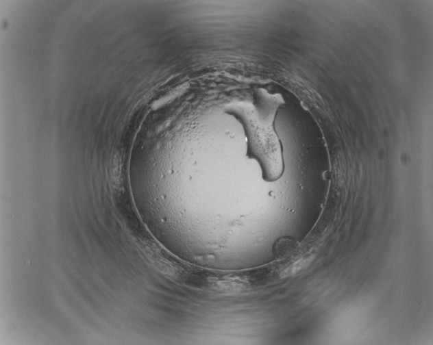 X0000064720359200602171622