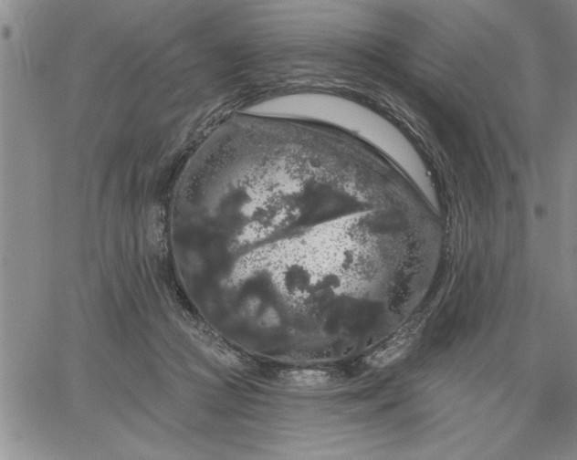 X0000064720361200602171622