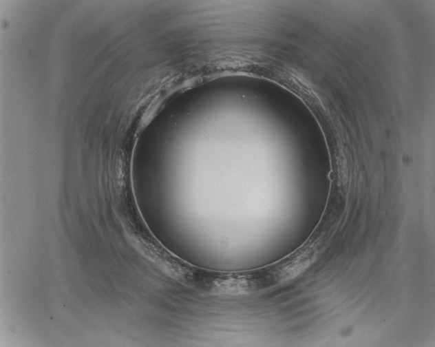 X0000064720362200602171622