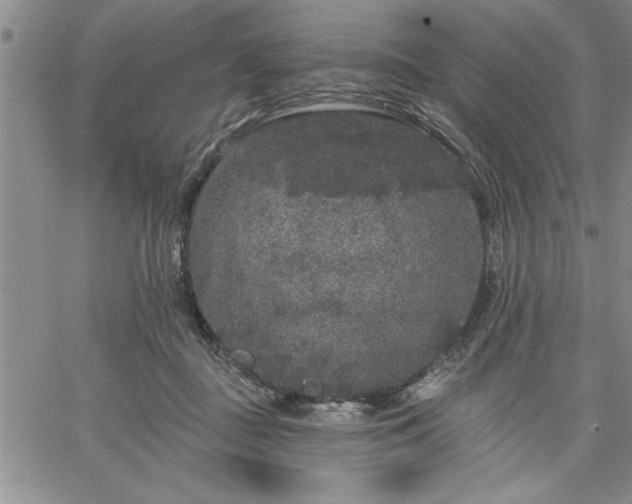 X0000064720363200602171622