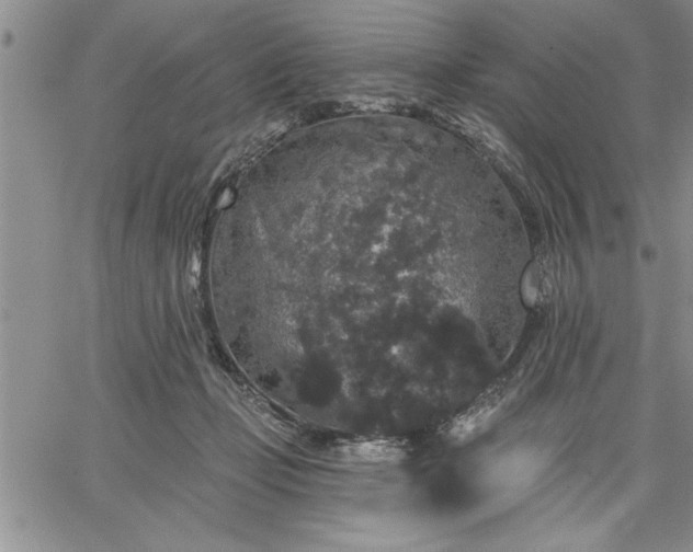 X0000064720365200602171622