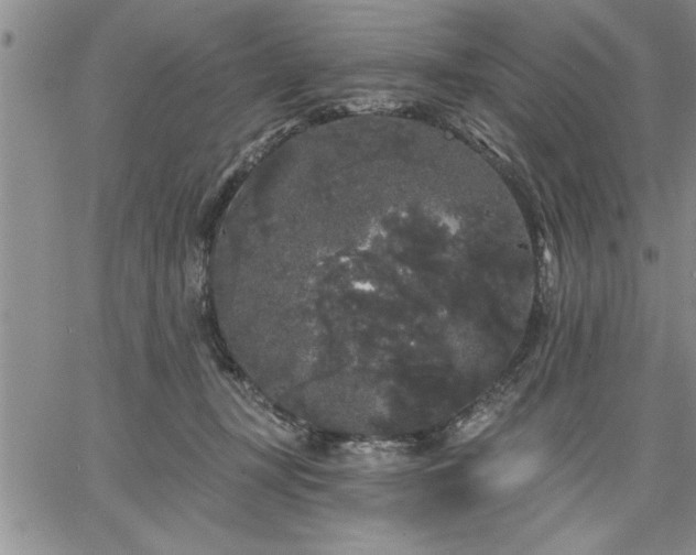 X0000064720367200602171622