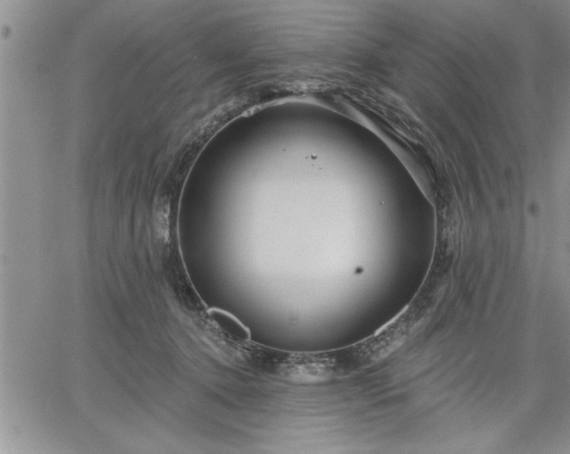 X0000064720368200602171622