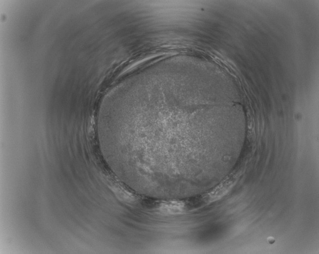 X0000064720369200602171622