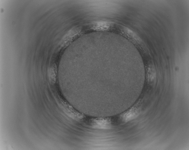 X0000064720370200602171622