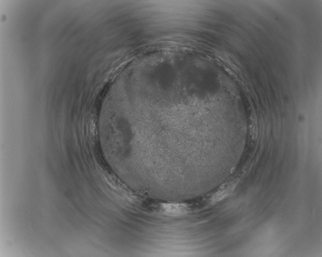 X0000064720371200602171622