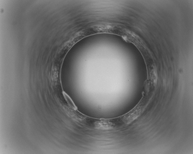 X0000064720372200602171622