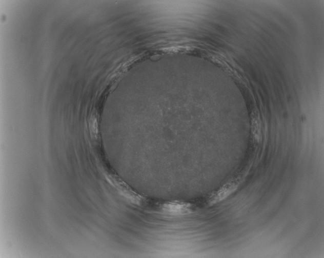 X0000064720375200602171622