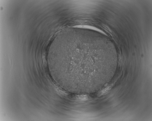 X0000064720377200602171622