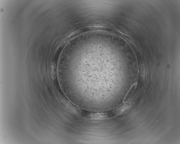 X0000064720378200602171622