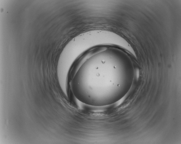 X0000064720380200602171622