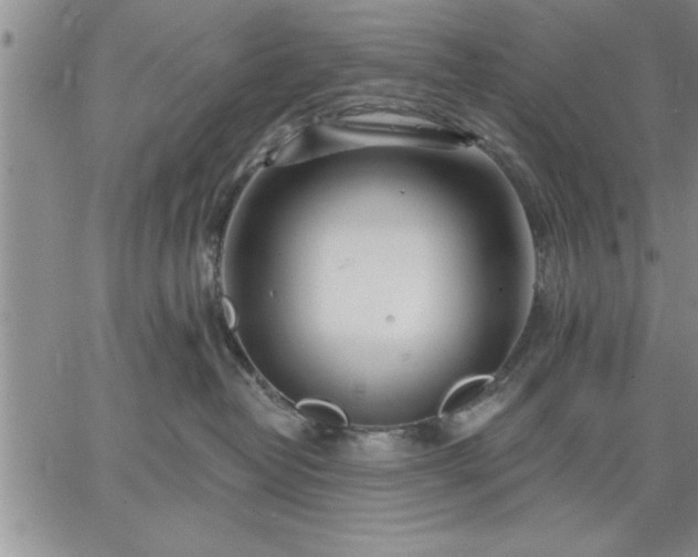 X0000064720382200602171622