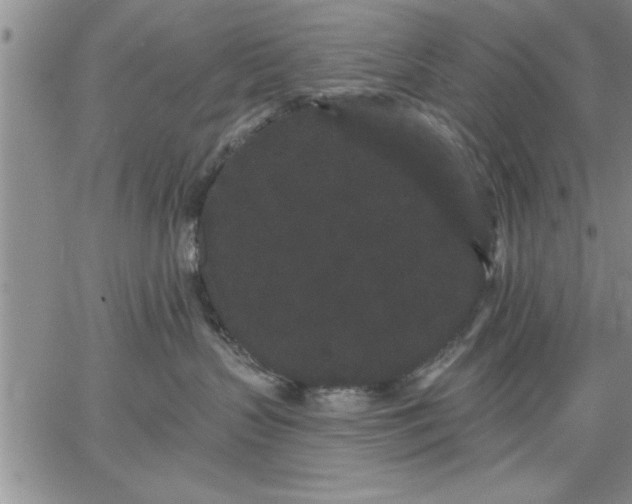 X0000064720383200602171622