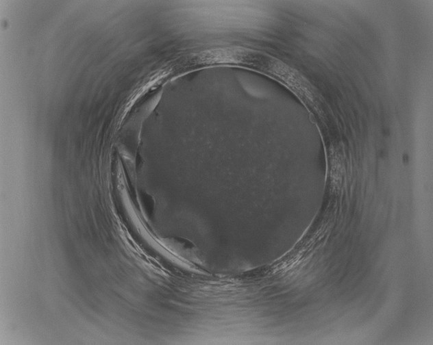 X0000064720386200602171621