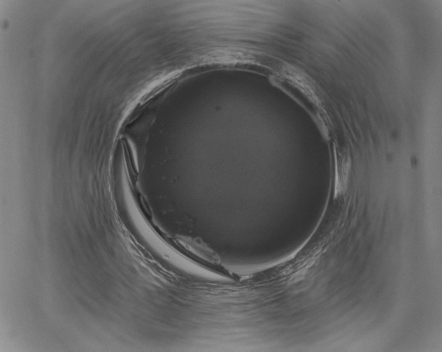 X0000064720387200602171621