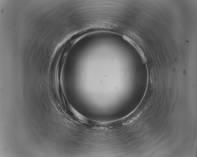 X0000064720388200602171621